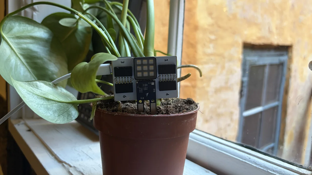 Plant thirst monitor